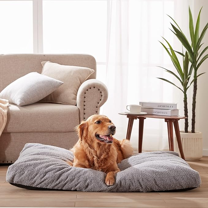 إقامة مريحة